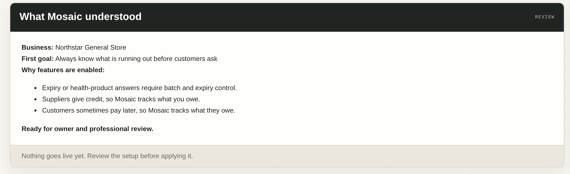 Mosaic summarizing what it understood about the business and explaining why each feature is enabled, before anything goes live